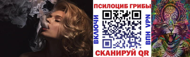 как найти наркотики Дальнереченск Псилоцибиновые грибы ЛСД