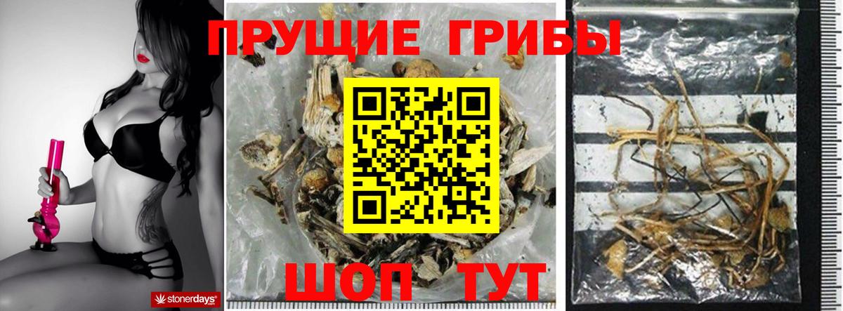 Дальнереченск  Псилоцибиновые грибы мицелий  Вход с VPN 