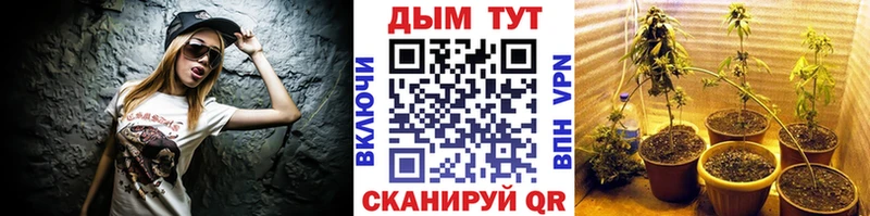 закладки  KRAKEN сайт  Канабис семена  Дальнереченск 